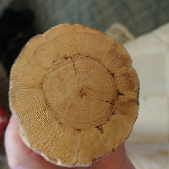 Brazilian rain stick - Picture 3 of 3